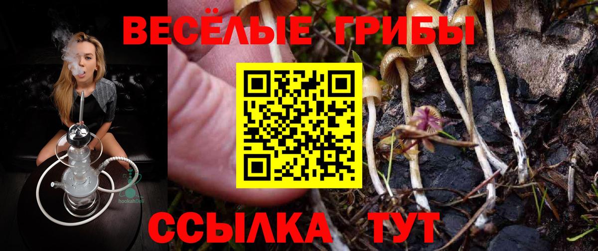 Псилоцибиновые грибы прущие грибы  Галлюциногенные грибы MAGIC MUSHROOMS  Вход с VPN  Сарапул 